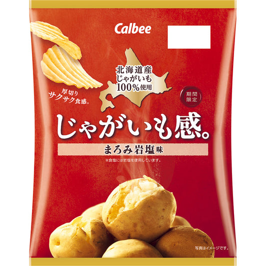 Calbee - Potato Sensation Mellow Rock Salt Flavor 60g